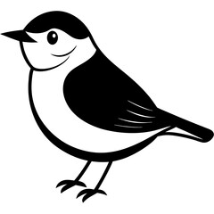 black and white bird