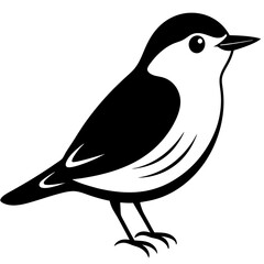 illustration of a bird