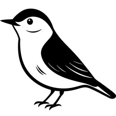 bird on a white background