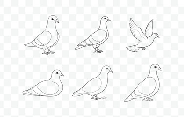 Print Elegant Pigeon Line Art Vector Collection