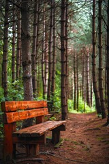Fototapeta premium Wooden bench nestled among tall trees serene forest, inviting passersby to sit and rest
