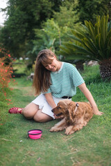 cocker Spaniel dog having fun and playing with young beautiful woman