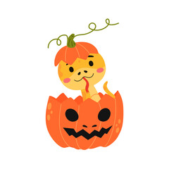 Fototapeta premium Cute Snake In A Pumpkin For Halloween