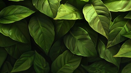 Abstract leaves form a vibrant background, a colorful display of plant life. Nature's design in art, a depiction of green leaves.