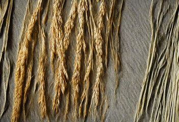 A close-up of golden wheat ears tied together with a rustic twine symbolizing harvest and abundance