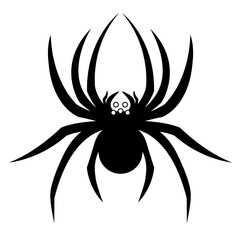 Black and white spider