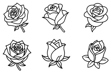 Rose line art vibrant design hand drawing creative illustration