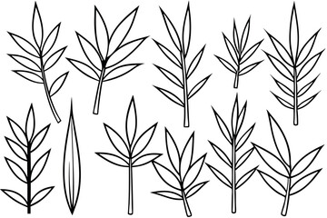 Bamboo leaf line art design elegant drawing illustration artwork