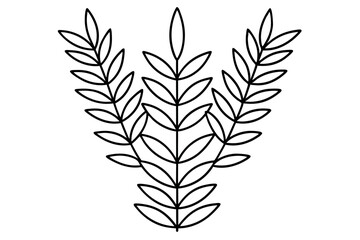 Acacia leaf line art design modern drawing illustration artwork