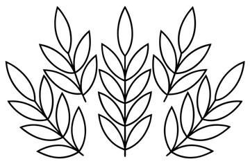 Acacia leaf line art design unique drawing illustration artwork