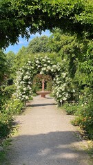 path in the park of Offenburg