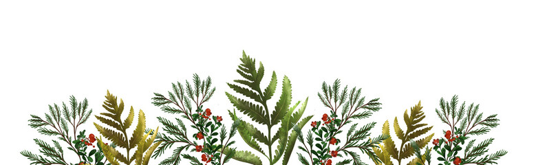 Wild forest foliage fern, tuna, cypress, watercolor botanical banner, cowberry, autumn, fall time. Floral design background