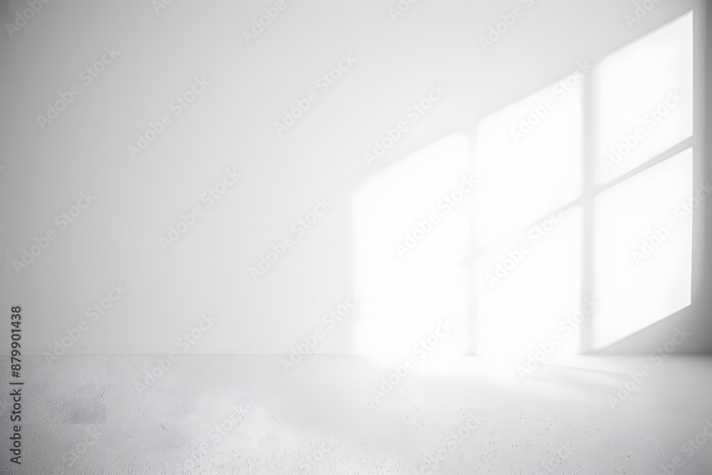 Poster abstract empty white and gray gradient soft light background of studio room for art work design.