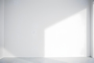 Abstract empty white and gray gradient soft light background of studio room for art work design.