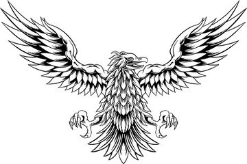 Eagle Line Art Illustration