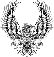 Eagle Line Art Illustration