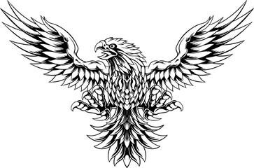 Eagle Line Art Illustration