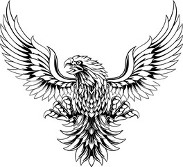 Eagle Line Art Illustration