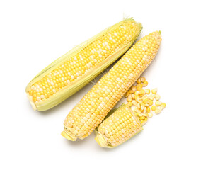 Fresh corn cobs and seeds on white background