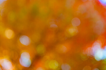 Unfocused colorful season. Bokeh autumn leaves. Fall blurred background orange color. Fall nature. Blurred bokeh background. Autumn defocused nature. Blur backdrop of autumn leaves. Smooth blur