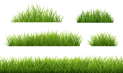 Green Grass Borders Set Isolated White Background