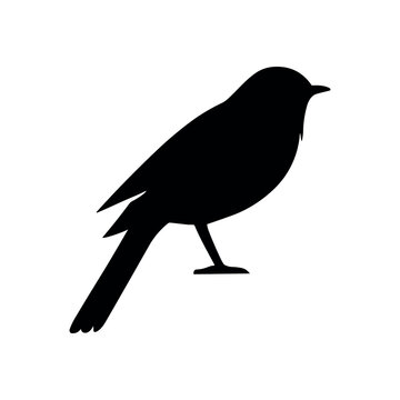 recommend clip art: Bird vector silhouette icon. Animal bird nature wildlife black sparrow hawk icon
