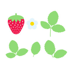 Strawberry with flower and strawberry leaves. Vector illustration of strawberry.