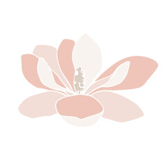 Vector magnolia flower silhouette, illustration in soft pastel colors. isolated floral element. flower bud of different shapes for wedding design, prints, templates, greeting cards, invitations