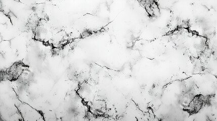 Obraz premium White marble background texture