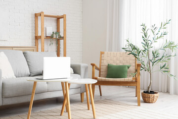 Beautiful interior of living room with grey sofa, armchair, coffee table, laptop and olive tree