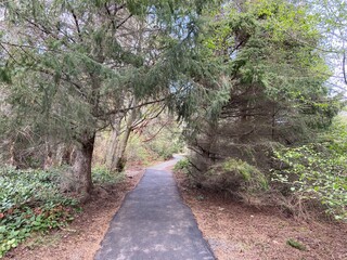 Fototapeta premium path in the park - Deception Pass State Park