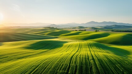 Fototapeta premium A beautiful expansive landscape featuring rolling green hills and fields under gentle sunrise light, offering a picturesque and serene view of nature's beauty.