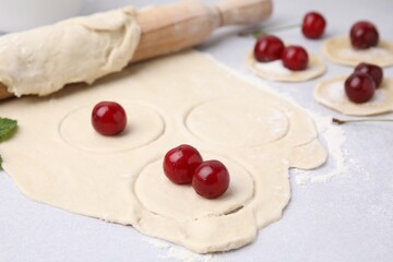 Process of making dumplings (varenyky) with cherries. Raw dough and ingredients on light table