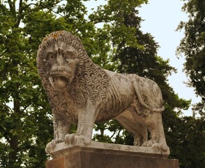 Leone di Lucca, Toscana, Italia