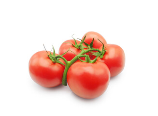 Tomato branch isolated on white background. Red fresh tomatoes close-up. 