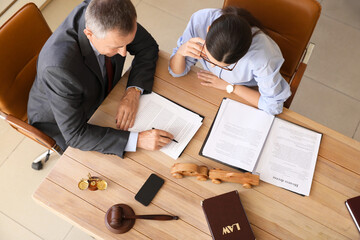 Lawyers holding meeting in office, top view