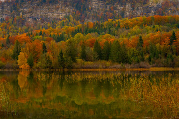 Autumn landscape with trees and a lake