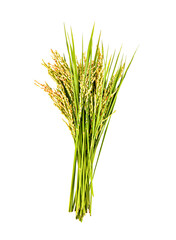 japan rice on transparent p n g