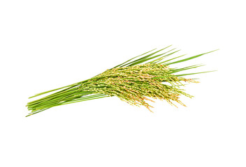 japan rice on transparent p n g