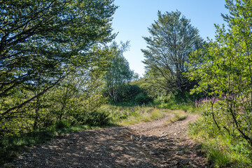 Obraz premium Belasitsa Mountain around Kongur peak, Bulgaria