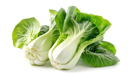 Baby pak choi against white backdrop