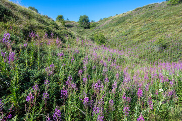 Fototapeta premium Belasitsa Mountain around Kongur peak, Bulgaria