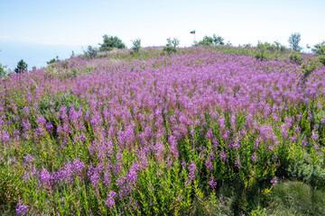 Obraz premium Belasitsa Mountain around Kongur peak, Bulgaria