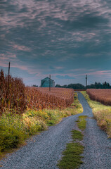 Grain Bin in a Cornfield.  End of the day.  A gravel road leads up to a lone grain bin on the horizon.  Clouds have gathered in the sky above, rays of sunlight brush the grass in spots. 