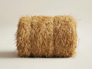Pile of straw is on white background