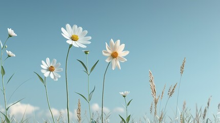 A lush meadow filled with a variety of wildflowers and tall grasses under a bright blue sky illustrating the richness of a natural environment Illustration, Image, , Minimalism,