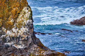 Rugged Rocky Cliff and Seabirds at Yaquina Head Aerial View