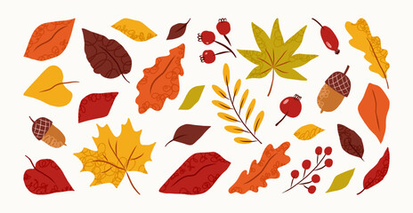 Fototapeta premium Set of hand drawn abstract autumn leaves and berries. Fall leaves, maple, acorns, berries, oak, rowan. Vector trendy flat illustration.