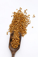 Coriander seeds, Vegetables and herbs