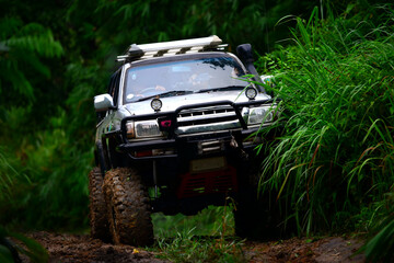 The high rise 4*4 truck drive on the muddy way of the forest. © chakorn